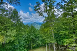 1024 Arrowhead Ridge Rd, Spruce Pine, NC 28777 - Photo 12