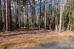 257 Roberts Ln N, Flat Rock, NC 28731 - Photo 8