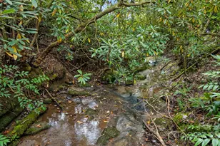 70 Wisteria Ln, Highlands, NC 28741 - Photo 40