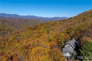 875 Creston Dr, Black Mountain, NC 28711 - Photo 46