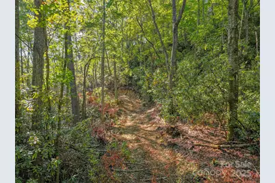 Lot 4 Rosewood Lane, Burnsville, NC 28714 - Photo 6