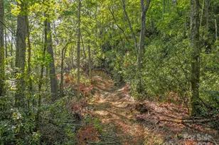 Lot 4 Rosewood Ln, Burnsville, NC 28714 - Photo 6