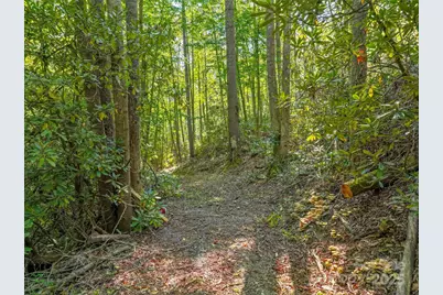 Lot 4 Rosewood Lane, Burnsville, NC 28714 - Photo 4