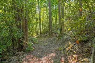 Lot 4 Rosewood Ln, Burnsville, NC 28714 - Photo 4