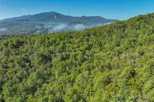 Lot 4 Rosewood Ln, Burnsville, NC 28714 - Photo 8