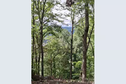 79 Bacon Drive, Bryson City, NC 28713 - Photo 8