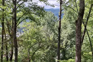 79 Bacon Dr, Bryson City, NC 28713 - Photo 8