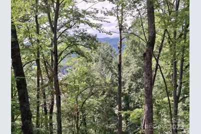 79 Bacon Drive #3, Bryson City, NC 28713 - Photo 8