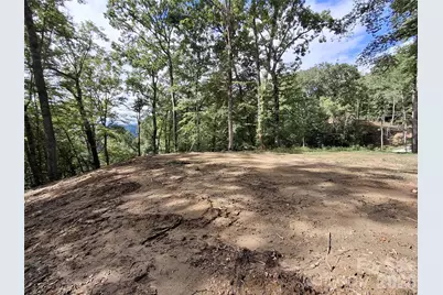 79 Bacon Drive, Bryson City, NC 28713 - Photo 10