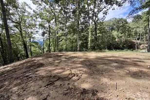 79 Bacon Dr, Bryson City, NC 28713 - Photo 10