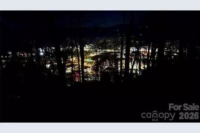 79 Bacon Drive, Bryson City, NC 28713 - Photo 4