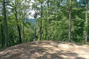 79 Bacon Dr, Bryson City, NC 28713 - Photo 14