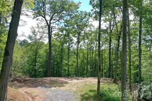 79 Bacon Dr, Bryson City, NC 28713 - Photo 18