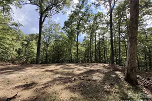 79 Bacon Dr, Bryson City, NC 28713 - Photo 6