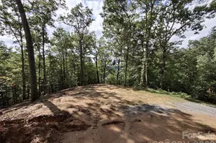 79 Bacon Dr, Bryson City, NC 28713 - Photo 2