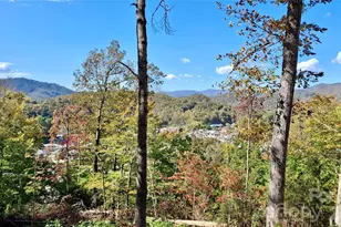 81 Bacon Dr, Bryson City, NC 28713 - Photo 2