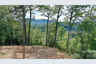 81 Bacon Drive, Bryson City, NC 28713 - Photo 38