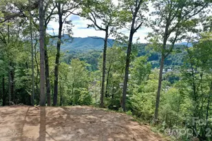 81 Bacon Dr, Bryson City, NC 28713 - Photo 38