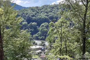 81 Bacon Dr, Bryson City, NC 28713 - Photo 16