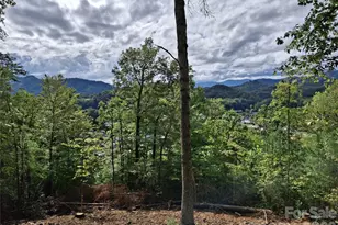 81 Bacon Dr, Bryson City, NC 28713 - Photo 24