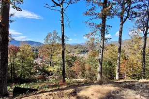 81 Bacon Dr, Bryson City, NC 28713 - Photo 4