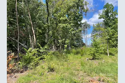 00 Carriage Drive, Rutherfordton, NC 28139 - Photo 2