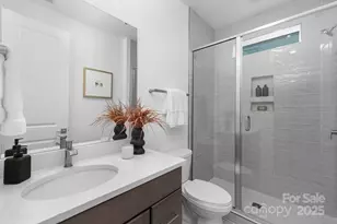 359 Linda Carol Ln, Tega Cay, SC 29708 - Photo 10