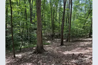 0 Mountain Brook Trail #298, Nebo, NC 28761 - Photo 4