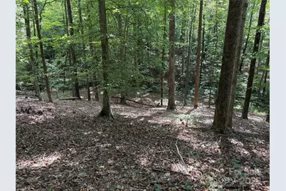 0 Mountain Brook Trail #298, Nebo, NC 28761 - Photo 2