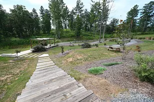 2199 Castle Peak Mountain None, Connelly Springs, NC 28612 - Photo 34