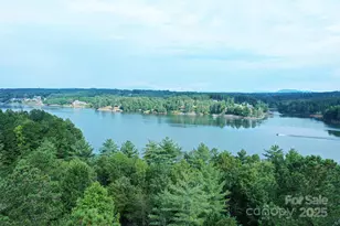 2199 Castle Peak Mountain None, Connelly Springs, NC 28612 - Photo 24