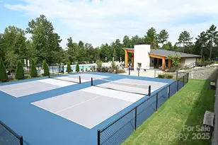 2199 Castle Peak Mountain None, Connelly Springs, NC 28612 - Photo 32