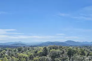 17 Elkmont Terrace, Asheville, NC 28804 - Photo 20