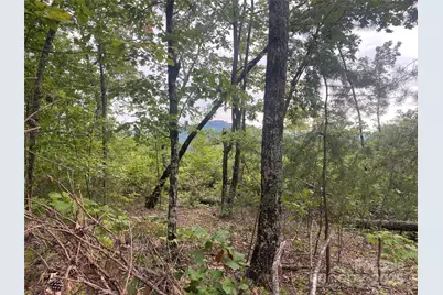 00 Springvalley Drive, Union Mills, NC 28167 - Photo 8