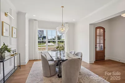 14217 Hollins Grove Avenue, Huntersville, NC 28078 - Photo 12