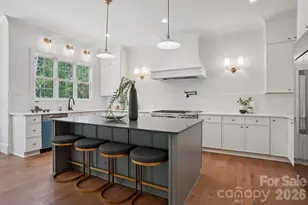 14217 Hollins Grove Ave, Huntersville, NC 28078 - Photo 16