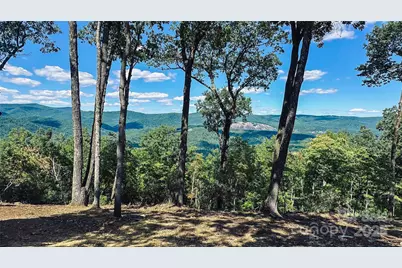 189 Laurelwood Lane #155, Traphill, NC 28685 - Photo 14