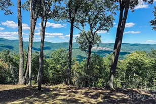 189 Laurel Wood Ln, Traphill, NC 28685 - Photo 14