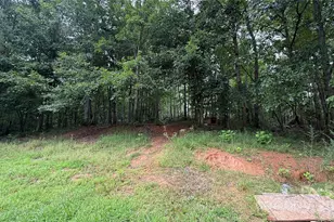 424 Winnies Rd, Bostic, NC 28018 - Photo 8