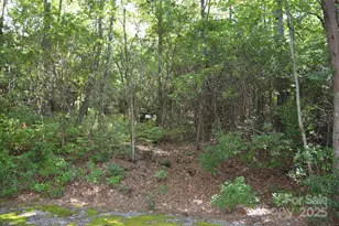 Lot 9 Galax Ln, Brevard, NC 28712 - Photo 1