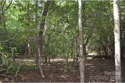 Lot 9 Galax Lane #9, Brevard, NC 28712 - Photo 6