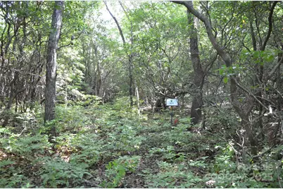 Lot 9 Galax Lane #9, Brevard, NC 28712 - Photo 2