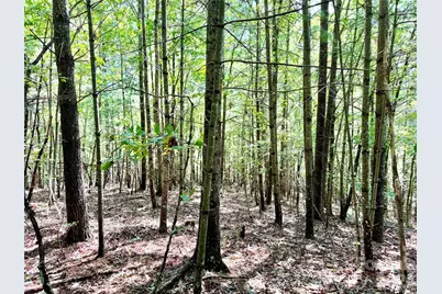 3.31 Acres, Lot 37 Poplar Bluff Drive SE #37, Lenoir, NC 28645 - Photo 12