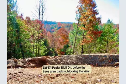 3.31 Acres, Lot 37 Poplar Bluff Drive SE #37, Lenoir, NC 28645 - Photo 2