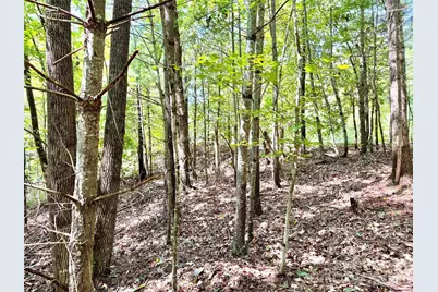 3.31 Acres, Lot 37 Poplar Bluff Drive SE #37, Lenoir, NC 28645 - Photo 8