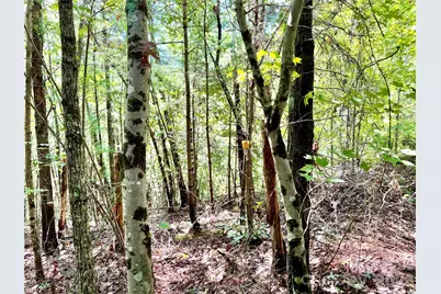 3.31 Acres, Lot 37 Poplar Bluff Drive SE #37, Lenoir, NC 28645 - Photo 10