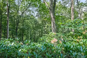 269 Oakstone Dr, Waynesville, NC 28785 - Photo 6