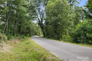 1329 4th Ave W, Hendersonville, NC 28739 - Photo 30