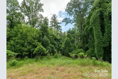 00 Willow Brook Falls None #3, Hendersonville, NC 28739 - Photo 2