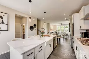 512 Annie Lowery Wy, Davidson, NC 28036 - Photo 14